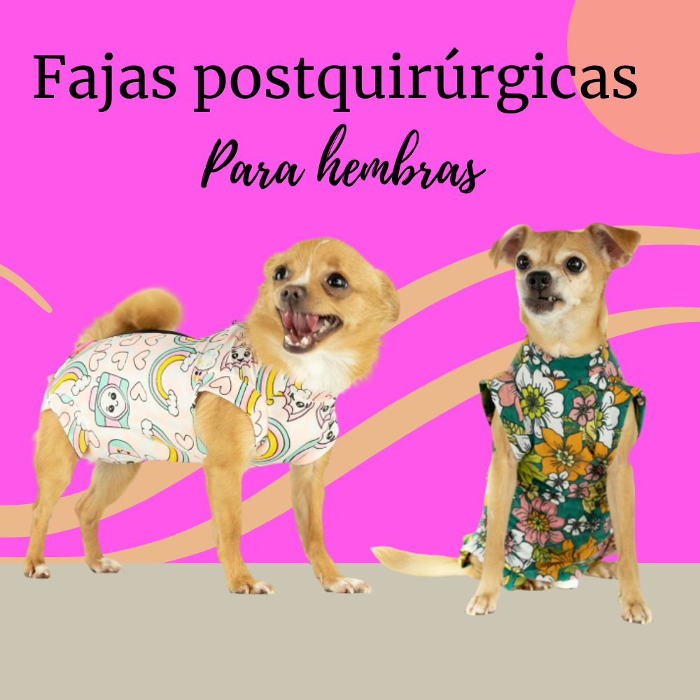 FAJAS Chihuahua