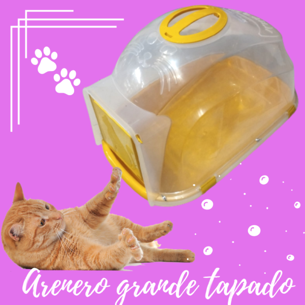 Arenero  Grande Tapado