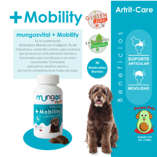 + Mobility - Image 3