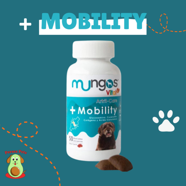 + Mobility